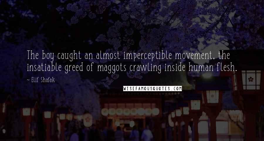 Elif Shafak Quotes: The boy caught an almost imperceptible movement, the insatiable greed of maggots crawling inside human flesh.