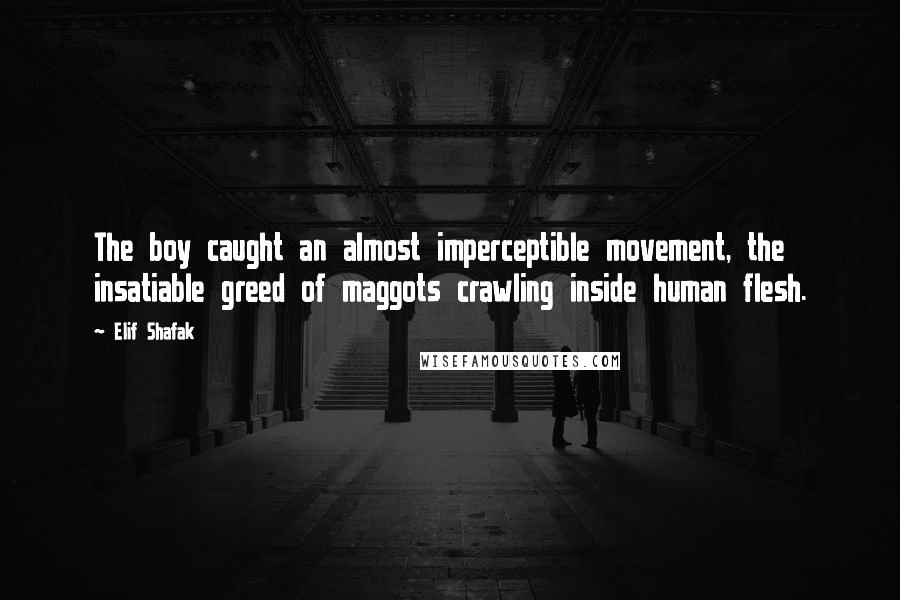 Elif Shafak Quotes: The boy caught an almost imperceptible movement, the insatiable greed of maggots crawling inside human flesh.