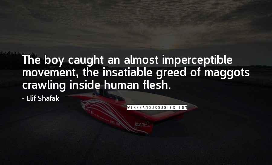 Elif Shafak Quotes: The boy caught an almost imperceptible movement, the insatiable greed of maggots crawling inside human flesh.