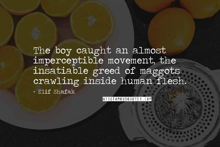 Elif Shafak Quotes: The boy caught an almost imperceptible movement, the insatiable greed of maggots crawling inside human flesh.