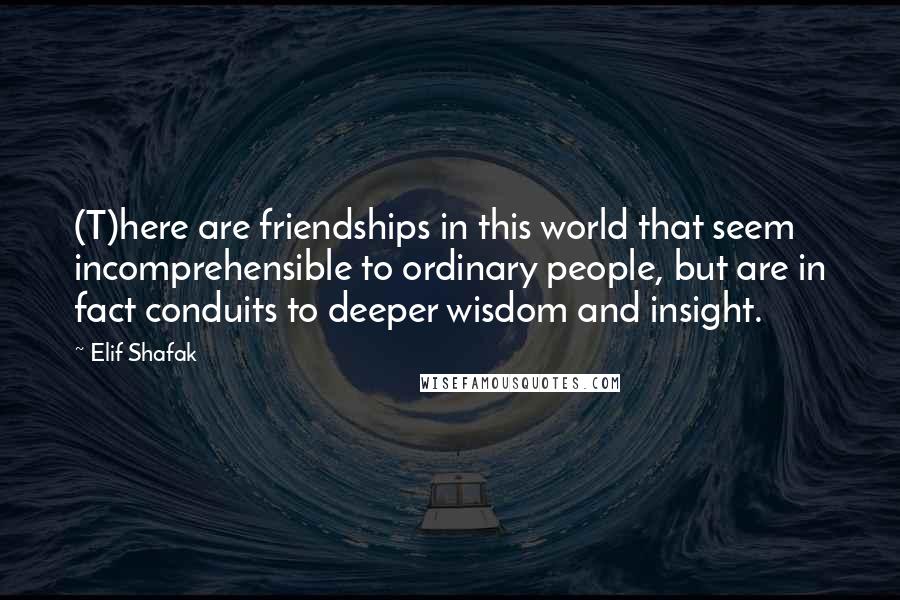 Elif Shafak Quotes: (T)here are friendships in this world that seem incomprehensible to ordinary people, but are in fact conduits to deeper wisdom and insight.