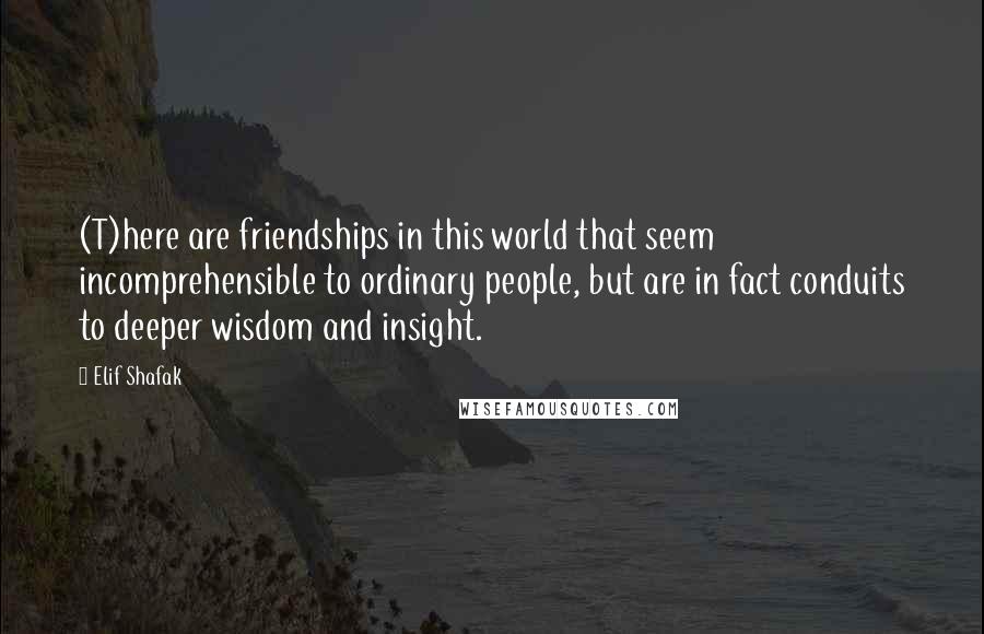 Elif Shafak Quotes: (T)here are friendships in this world that seem incomprehensible to ordinary people, but are in fact conduits to deeper wisdom and insight.