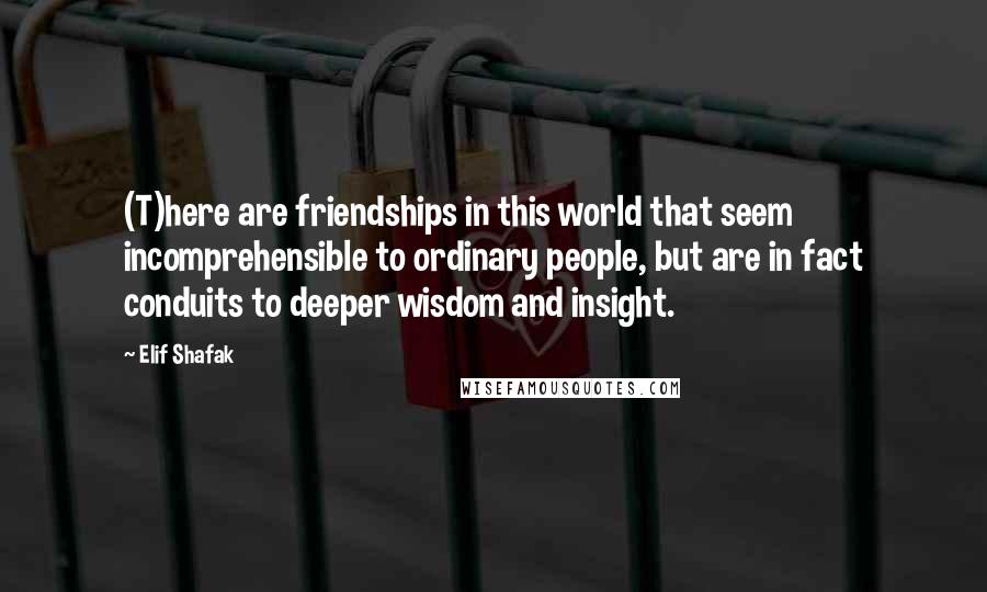 Elif Shafak Quotes: (T)here are friendships in this world that seem incomprehensible to ordinary people, but are in fact conduits to deeper wisdom and insight.