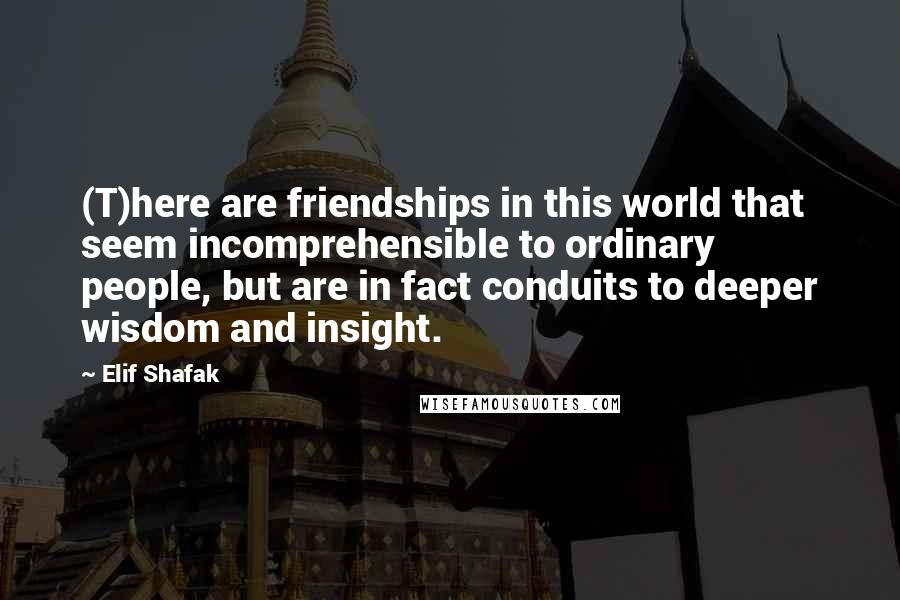 Elif Shafak Quotes: (T)here are friendships in this world that seem incomprehensible to ordinary people, but are in fact conduits to deeper wisdom and insight.