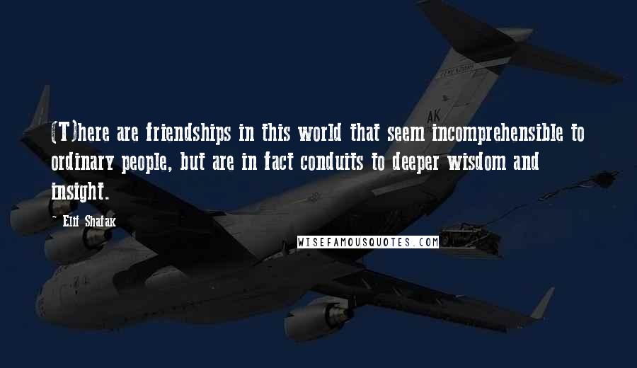 Elif Shafak Quotes: (T)here are friendships in this world that seem incomprehensible to ordinary people, but are in fact conduits to deeper wisdom and insight.