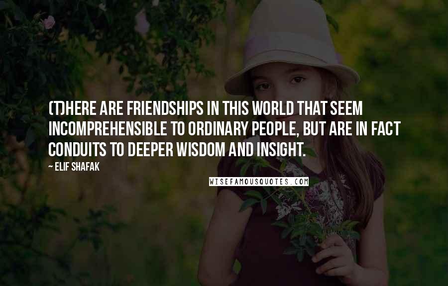 Elif Shafak Quotes: (T)here are friendships in this world that seem incomprehensible to ordinary people, but are in fact conduits to deeper wisdom and insight.
