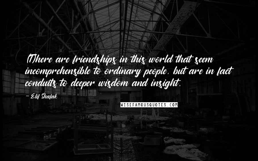 Elif Shafak Quotes: (T)here are friendships in this world that seem incomprehensible to ordinary people, but are in fact conduits to deeper wisdom and insight.