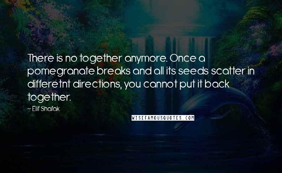 Elif Shafak Quotes: There is no together anymore. Once a pomegranate breaks and all its seeds scatter in differetnt directions, you cannot put it back together.