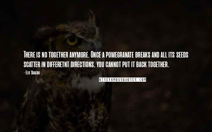 Elif Shafak Quotes: There is no together anymore. Once a pomegranate breaks and all its seeds scatter in differetnt directions, you cannot put it back together.