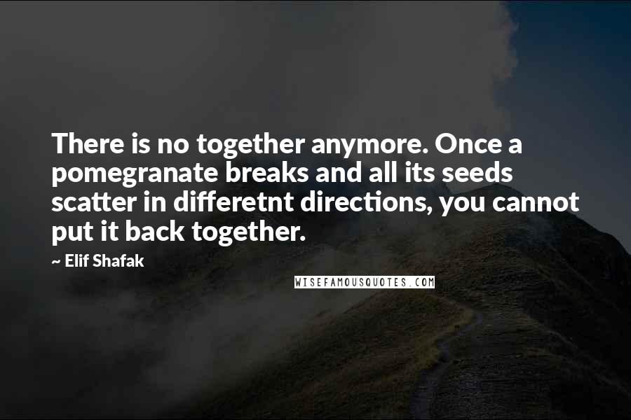 Elif Shafak Quotes: There is no together anymore. Once a pomegranate breaks and all its seeds scatter in differetnt directions, you cannot put it back together.