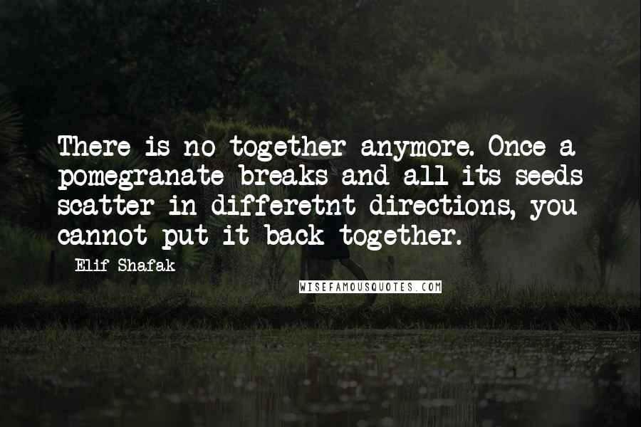 Elif Shafak Quotes: There is no together anymore. Once a pomegranate breaks and all its seeds scatter in differetnt directions, you cannot put it back together.