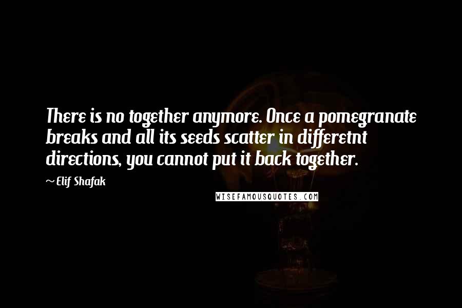 Elif Shafak Quotes: There is no together anymore. Once a pomegranate breaks and all its seeds scatter in differetnt directions, you cannot put it back together.