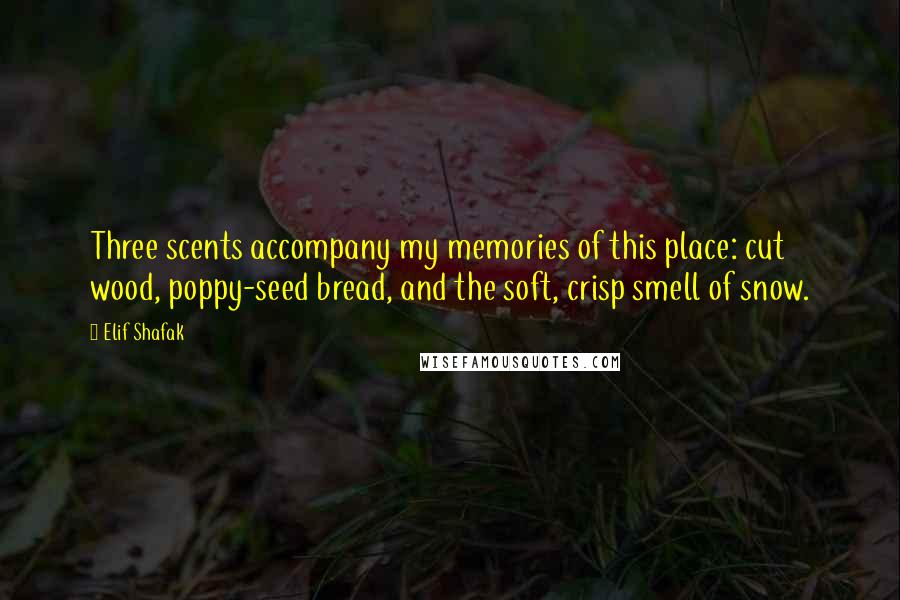 Elif Shafak Quotes: Three scents accompany my memories of this place: cut wood, poppy-seed bread, and the soft, crisp smell of snow.