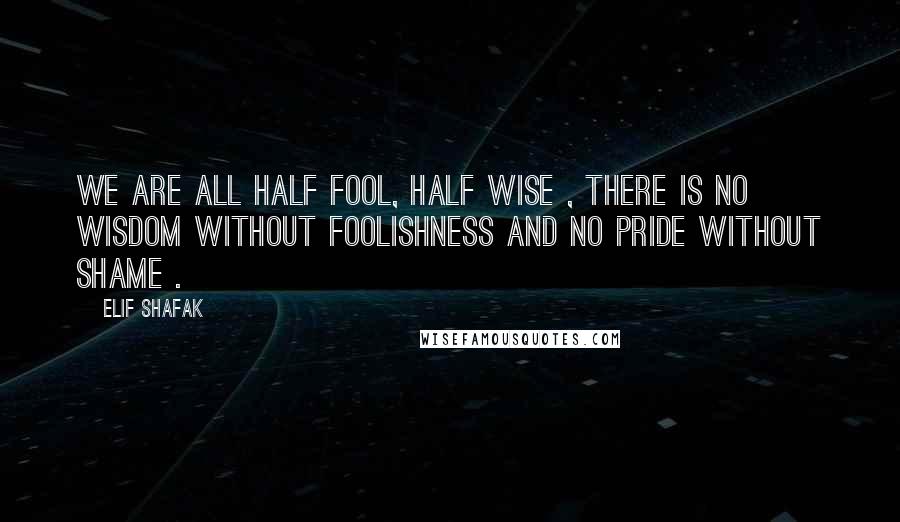 Elif Shafak Quotes: We are all half fool, half wise , there is no wisdom without foolishness and no pride without shame .