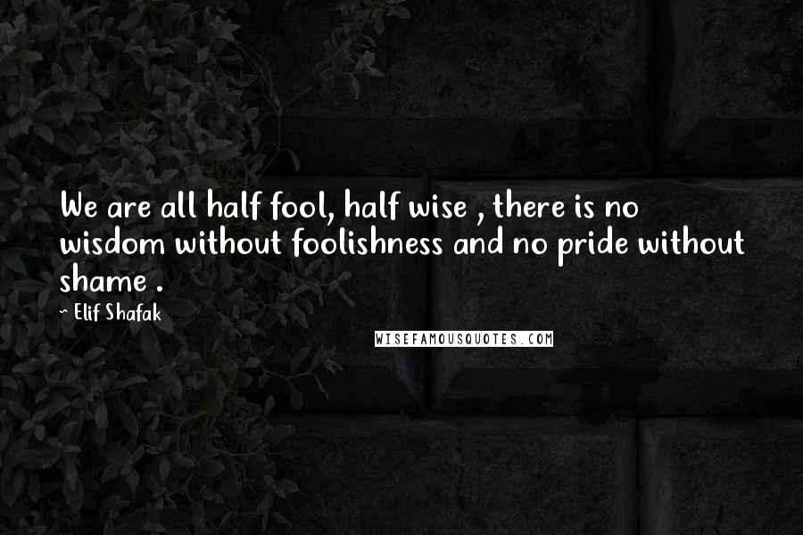 Elif Shafak Quotes: We are all half fool, half wise , there is no wisdom without foolishness and no pride without shame .