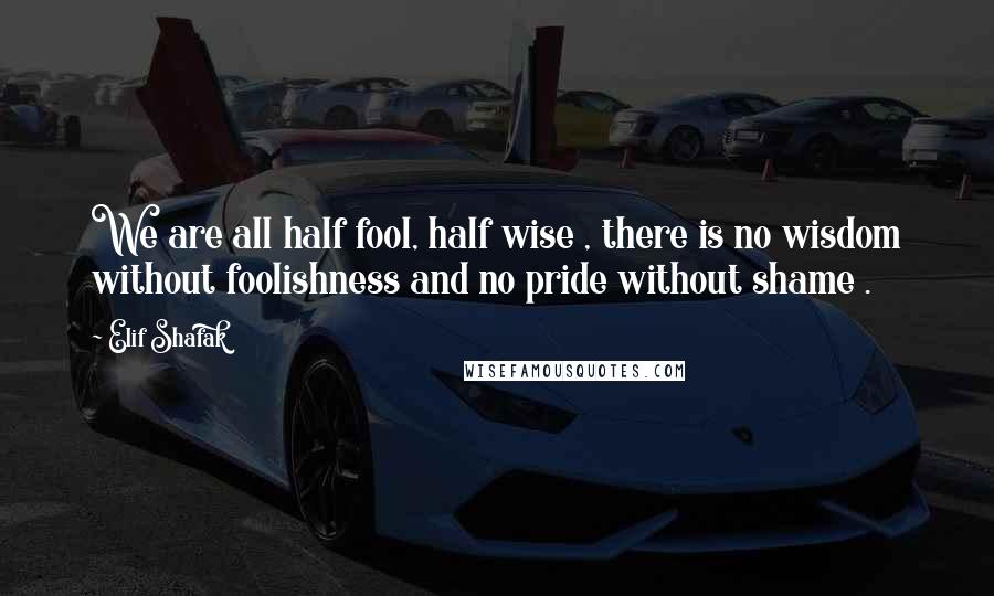 Elif Shafak Quotes: We are all half fool, half wise , there is no wisdom without foolishness and no pride without shame .