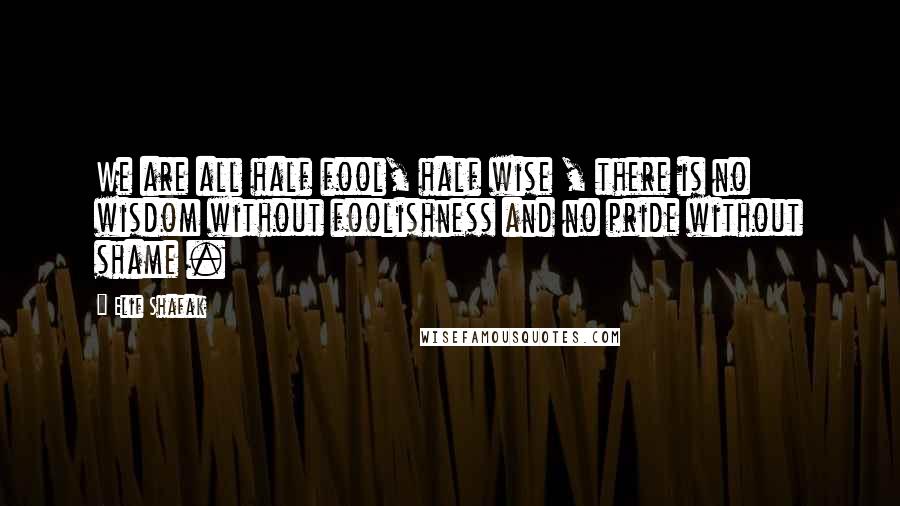 Elif Shafak Quotes: We are all half fool, half wise , there is no wisdom without foolishness and no pride without shame .