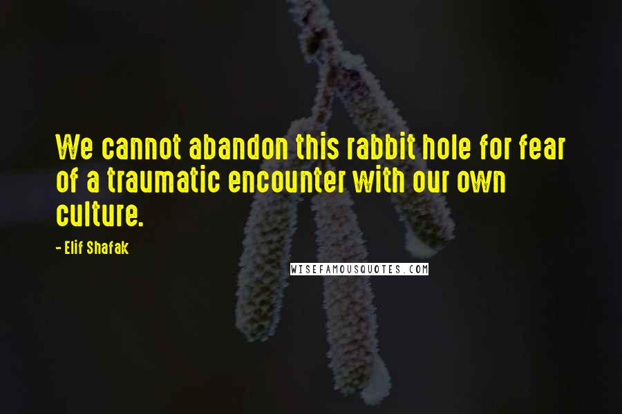 Elif Shafak Quotes: We cannot abandon this rabbit hole for fear of a traumatic encounter with our own culture.
