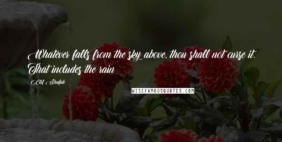 Elif Shafak Quotes: Whatever falls from the sky above, thou shall not curse it. That includes the rain