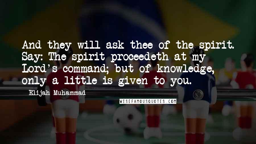 Elijah Muhammad Quotes: And they will ask thee of the spirit. Say: The spirit proceedeth at my Lord's command; but of knowledge, only a little is given to you.