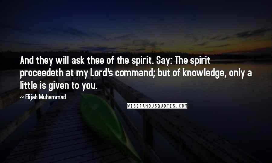 Elijah Muhammad Quotes: And they will ask thee of the spirit. Say: The spirit proceedeth at my Lord's command; but of knowledge, only a little is given to you.