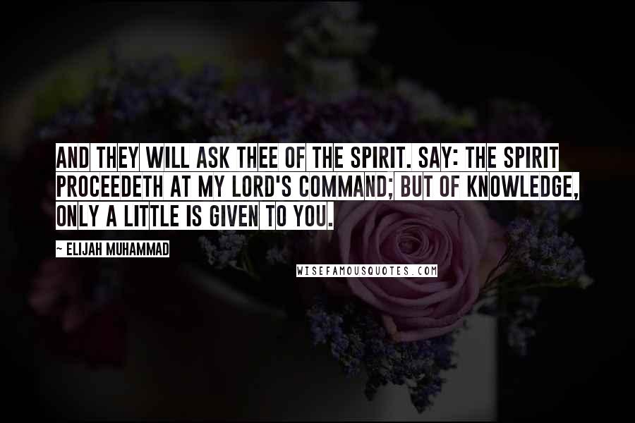 Elijah Muhammad Quotes: And they will ask thee of the spirit. Say: The spirit proceedeth at my Lord's command; but of knowledge, only a little is given to you.