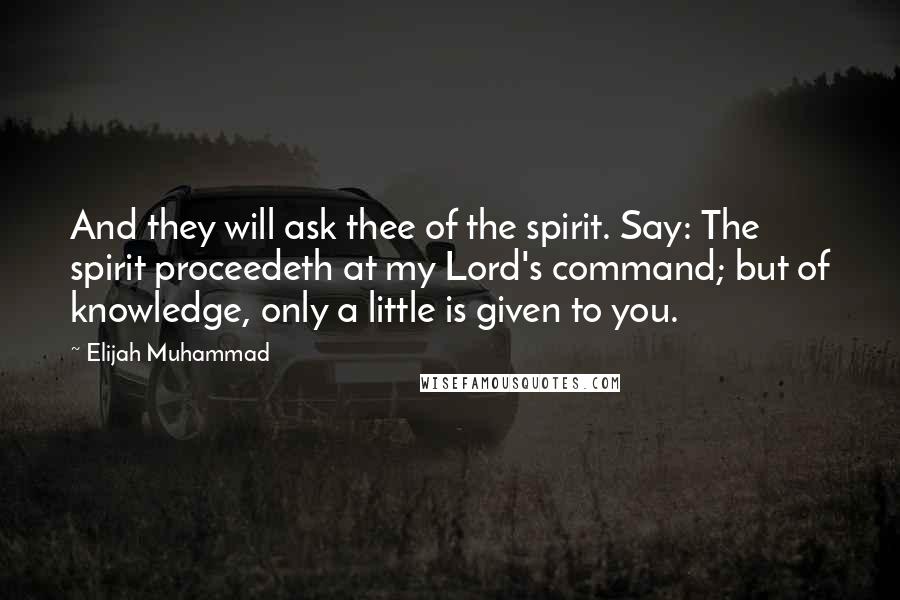 Elijah Muhammad Quotes: And they will ask thee of the spirit. Say: The spirit proceedeth at my Lord's command; but of knowledge, only a little is given to you.