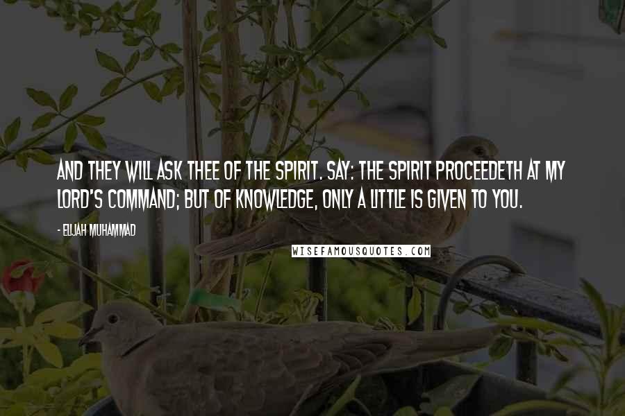 Elijah Muhammad Quotes: And they will ask thee of the spirit. Say: The spirit proceedeth at my Lord's command; but of knowledge, only a little is given to you.
