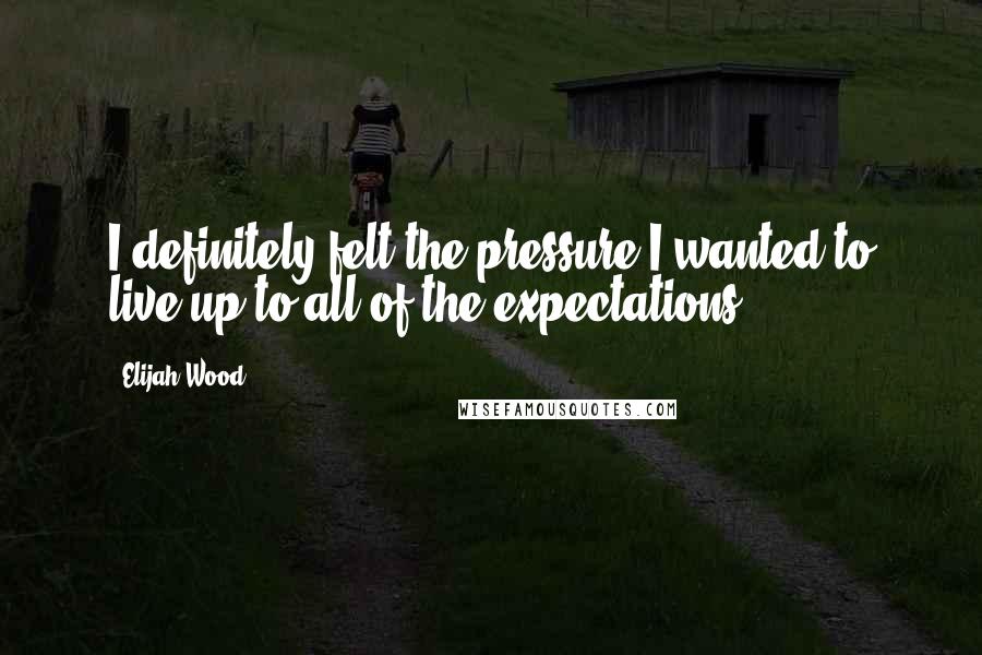 Elijah Wood Quotes: I definitely felt the pressure I wanted to live up to all of the expectations