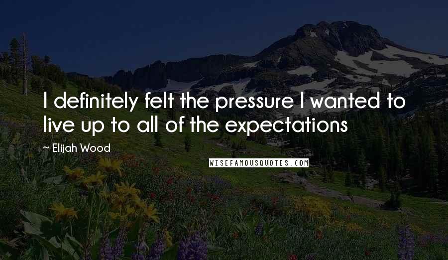 Elijah Wood Quotes: I definitely felt the pressure I wanted to live up to all of the expectations