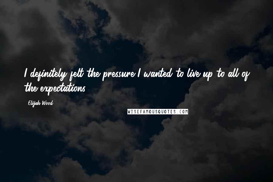 Elijah Wood Quotes: I definitely felt the pressure I wanted to live up to all of the expectations