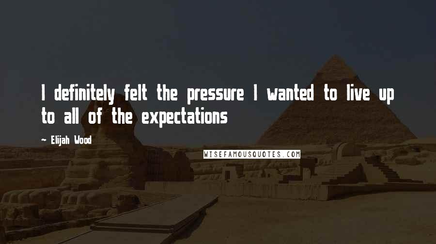 Elijah Wood Quotes: I definitely felt the pressure I wanted to live up to all of the expectations