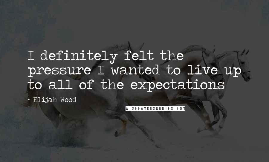 Elijah Wood Quotes: I definitely felt the pressure I wanted to live up to all of the expectations