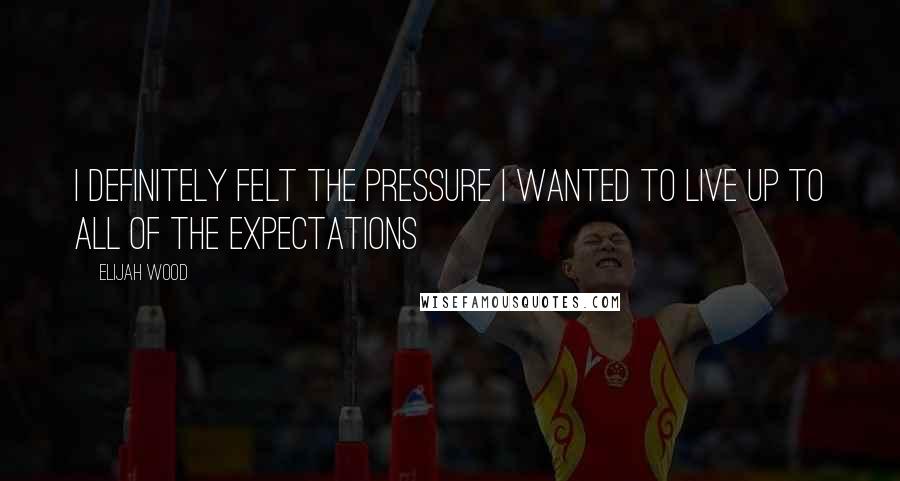 Elijah Wood Quotes: I definitely felt the pressure I wanted to live up to all of the expectations