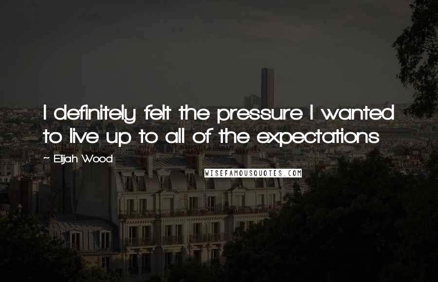Elijah Wood Quotes: I definitely felt the pressure I wanted to live up to all of the expectations