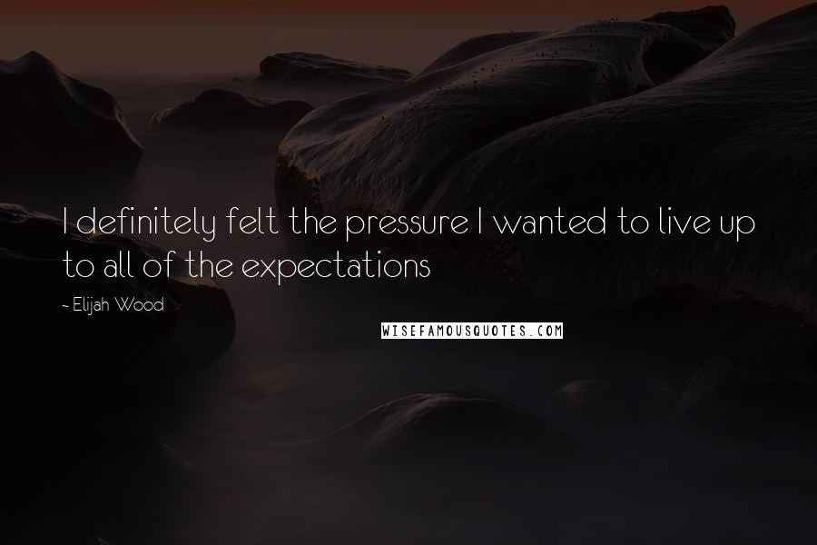 Elijah Wood Quotes: I definitely felt the pressure I wanted to live up to all of the expectations