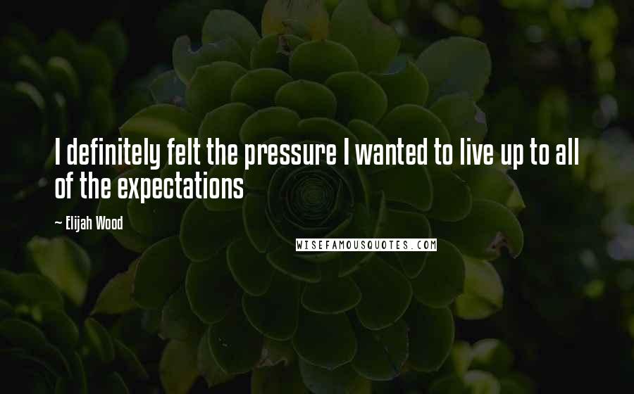 Elijah Wood Quotes: I definitely felt the pressure I wanted to live up to all of the expectations