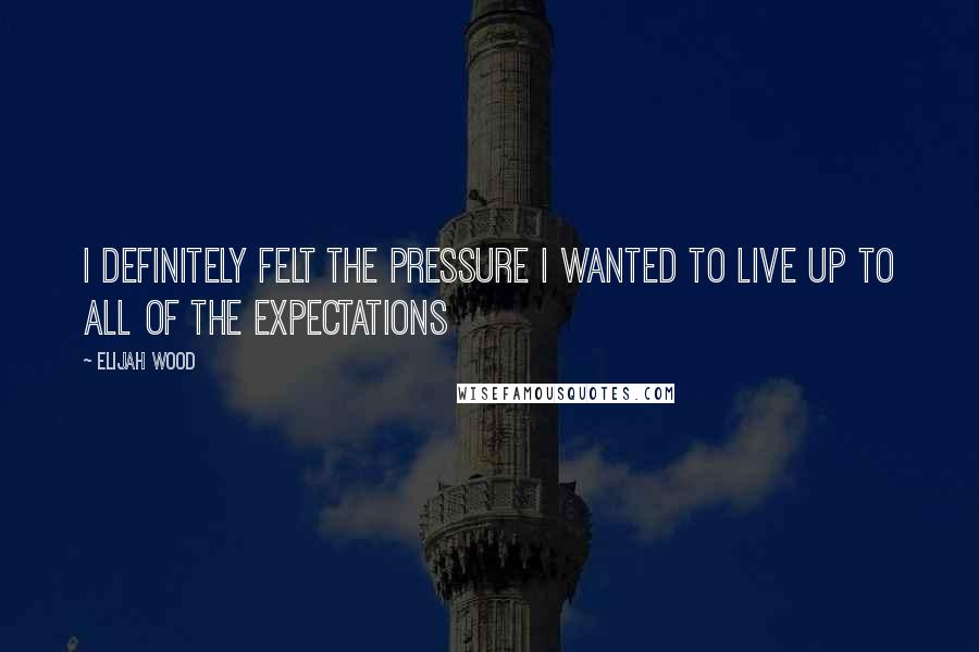 Elijah Wood Quotes: I definitely felt the pressure I wanted to live up to all of the expectations