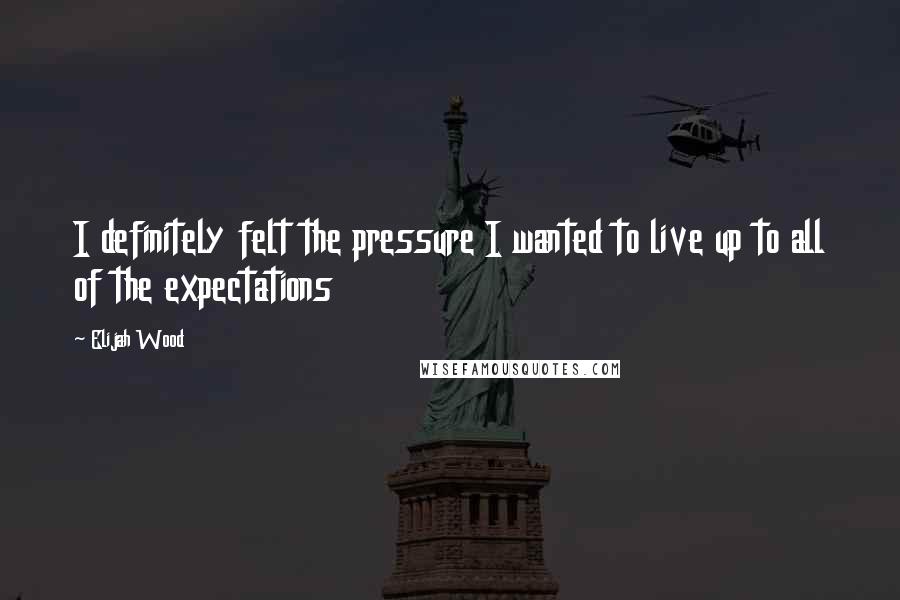 Elijah Wood Quotes: I definitely felt the pressure I wanted to live up to all of the expectations