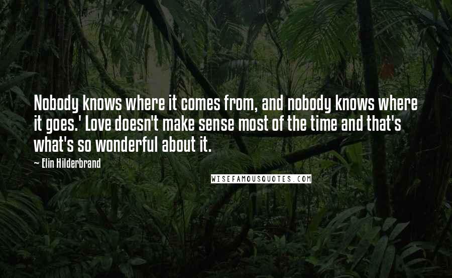 Elin Hilderbrand Quotes: Nobody knows where it comes from, and nobody knows where it goes.' Love doesn't make sense most of the time and that's what's so wonderful about it.