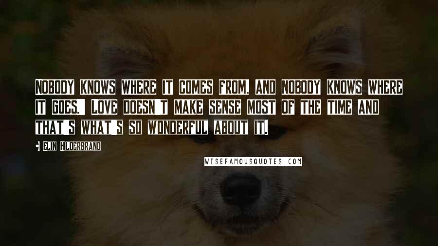 Elin Hilderbrand Quotes: Nobody knows where it comes from, and nobody knows where it goes.' Love doesn't make sense most of the time and that's what's so wonderful about it.