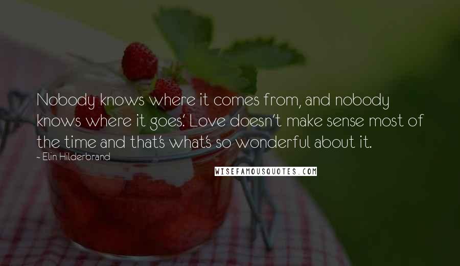 Elin Hilderbrand Quotes: Nobody knows where it comes from, and nobody knows where it goes.' Love doesn't make sense most of the time and that's what's so wonderful about it.