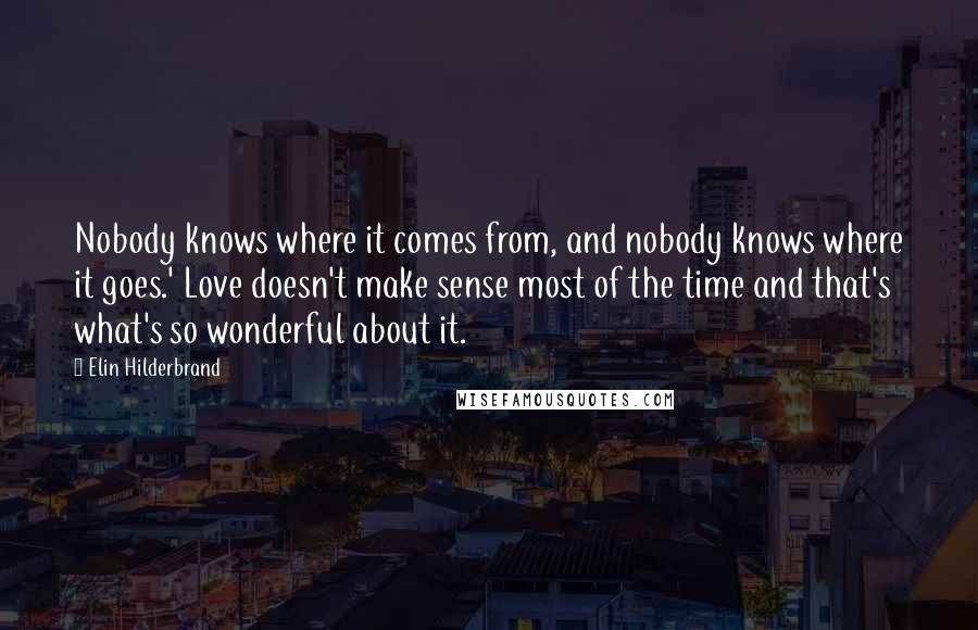 Elin Hilderbrand Quotes: Nobody knows where it comes from, and nobody knows where it goes.' Love doesn't make sense most of the time and that's what's so wonderful about it.