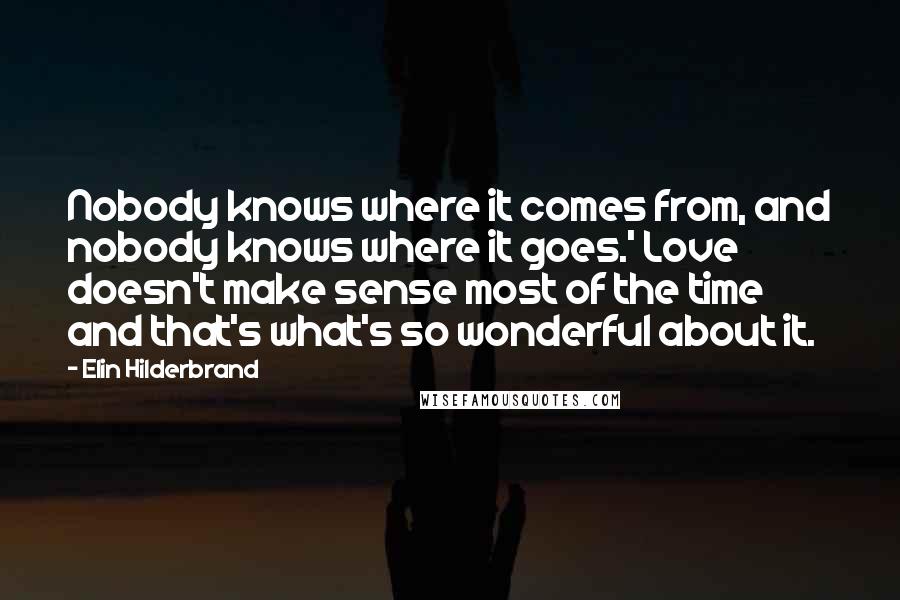 Elin Hilderbrand Quotes: Nobody knows where it comes from, and nobody knows where it goes.' Love doesn't make sense most of the time and that's what's so wonderful about it.