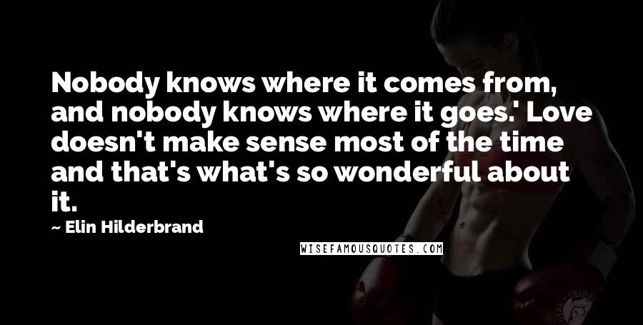 Elin Hilderbrand Quotes: Nobody knows where it comes from, and nobody knows where it goes.' Love doesn't make sense most of the time and that's what's so wonderful about it.