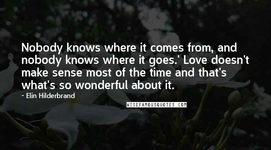 Elin Hilderbrand Quotes: Nobody knows where it comes from, and nobody knows where it goes.' Love doesn't make sense most of the time and that's what's so wonderful about it.