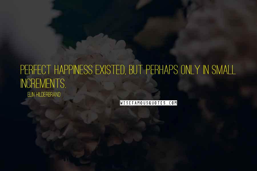 Elin Hilderbrand Quotes: Perfect happiness existed, but perhaps only in small increments.