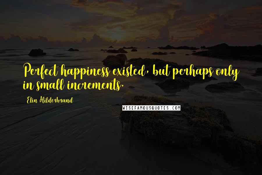 Elin Hilderbrand Quotes: Perfect happiness existed, but perhaps only in small increments.