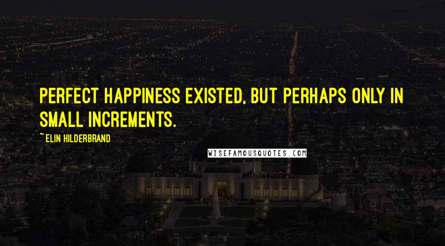 Elin Hilderbrand Quotes: Perfect happiness existed, but perhaps only in small increments.