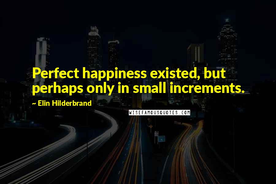 Elin Hilderbrand Quotes: Perfect happiness existed, but perhaps only in small increments.